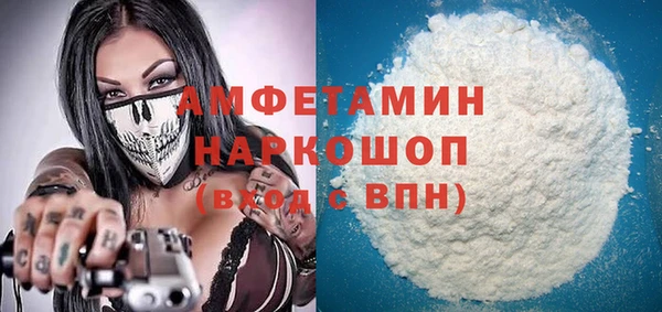 прущие грибы Алзамай