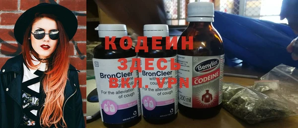 прущие грибы Алзамай