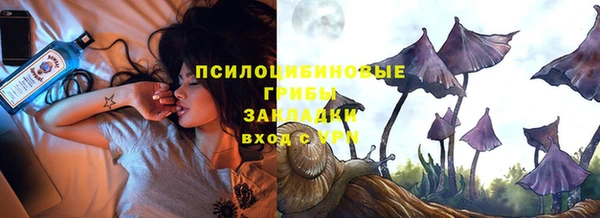 СК Покровск