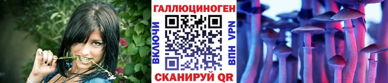 продажа наркотиков Любим Галлюциногенные грибы Psilocybe
